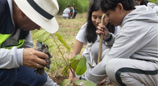 Waylla Home A Waylla Home A