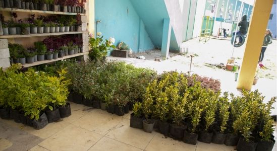 Waylla Home B Waylla Home B