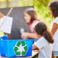 Aprendizaje interdisciplinario Aprendizaje interdisciplinario